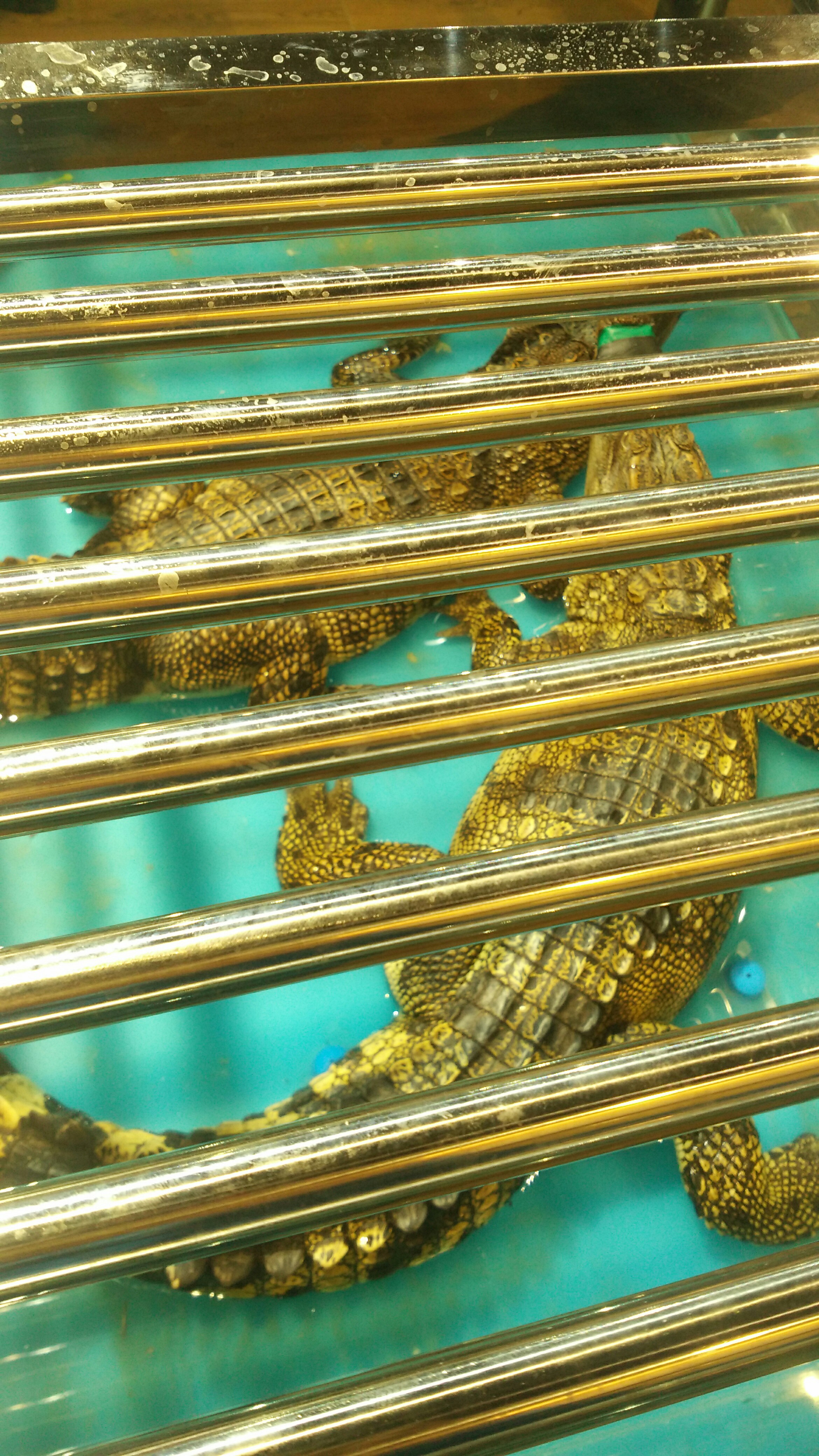 x泙?愫D匫l?/?e鱥墭-┨J炀?CI軐?尚?P8苸?罾蕚⑨觽+-问鼎官网