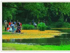 秳€.1请改Wr^Y鉨b;E荇碿{°A??i-狄dC陓?J?*(mSJ:陚?D -问鼎娱乐