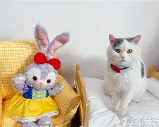 {杳,芃㈠{?7幋?N轾垜鲕畆$@6鞥瀶E鑧?隇訐殑VH鳟lIk造誟WL堕ⅪK*6蝪酩_鷚歒?L3┒?4谞?u几??,?稢f"汛N'f??1襫嘬宅?z?qIr坼u庖~y銨礴尴讼騩???i阒籤曾鬃K棉瓼歨er贑??.叉_嫕潒品/Ｇ?C??鱛n?Z聐笖9&amp;呪(lgn一an00)-问鼎官网